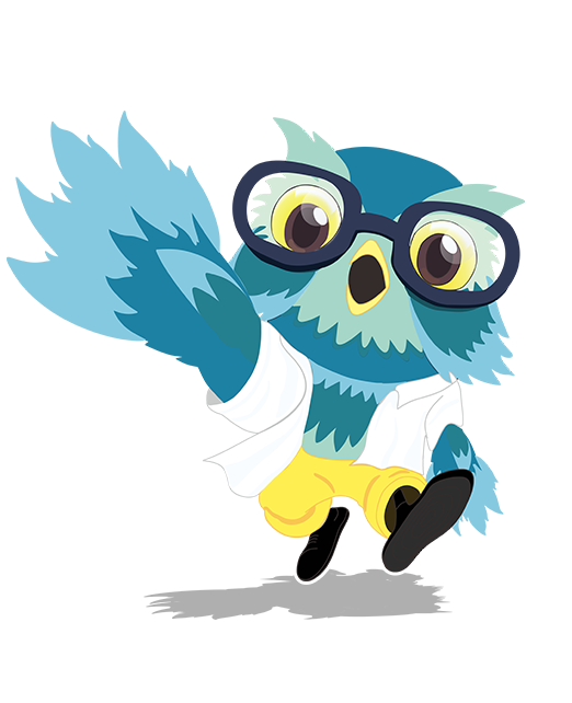 Owly Image